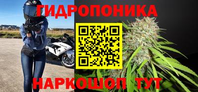 индика Кумертау