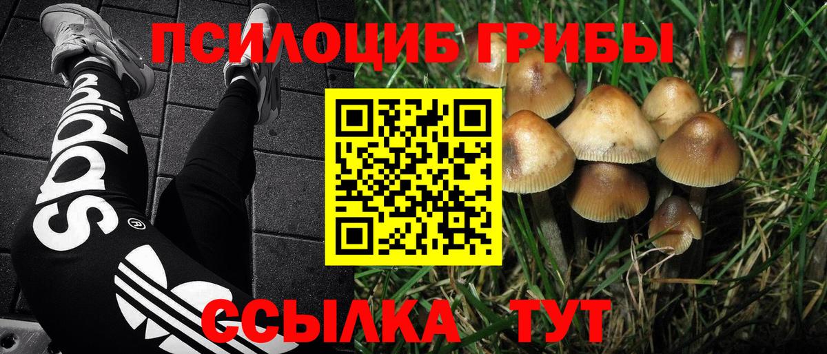 Дубна  Псилоцибиновые грибы MAGIC MUSHROOMS  Вход с VPN  Псилоцибиновые грибы Psilocybine cubensis 