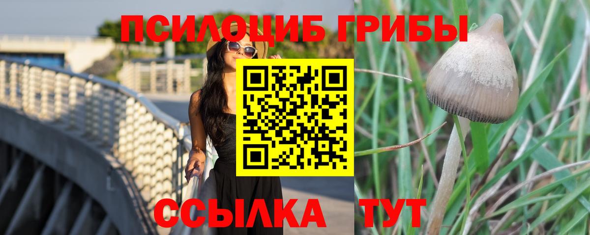 Галлюциногенные грибы Magic Shrooms Дубна